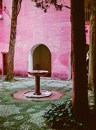 A Quiet Corner of the Alhambra, 2019, Lomochrome Purple