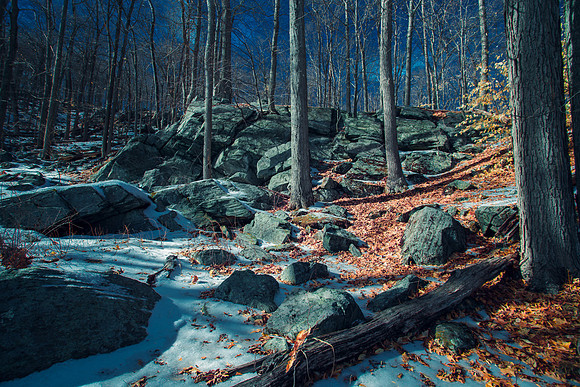 Cold Hike (infrared), New York, 2022, Digital