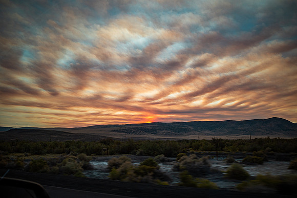 Nevada, 2024, Digital
